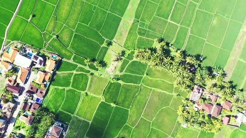 Wide angle above island view of a sunshine white sandy paradise beach and turquoise sea background i