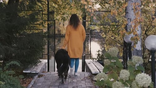 A Young Woman in a Yellow Sweater Is Walking with a Big Dog To the Pier