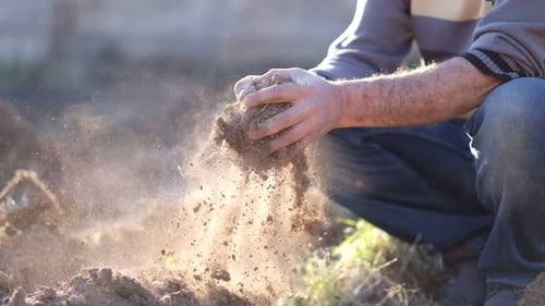 Agriculture, Soil, Farmer Examining Soil in Hands