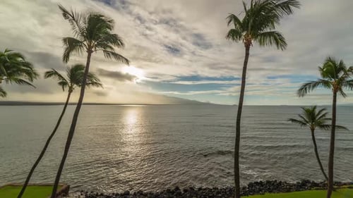 Sun Behind Palm Trees