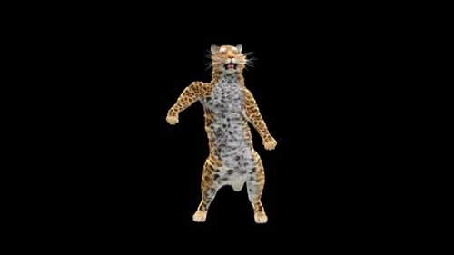Leopard-Tanz HD