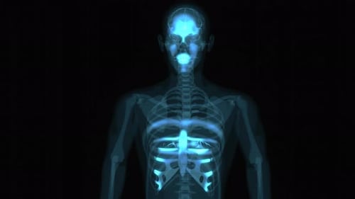 Futuristic Medical Scan of Human Skeleton and Brain