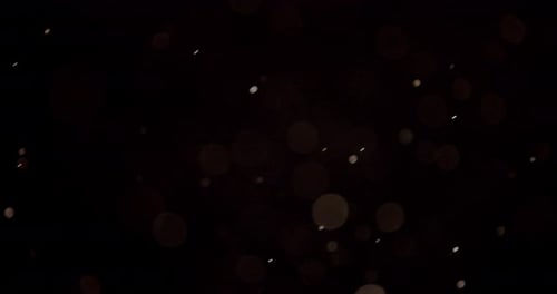 Particles 061