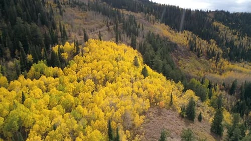 Aerial view flying over mountainside during Fall