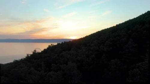 Flight Over the Forest on the Shore of the Lake