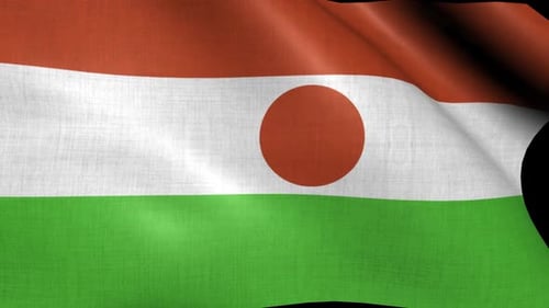 Realistic Waving Niger Flag with Fabric Texture
