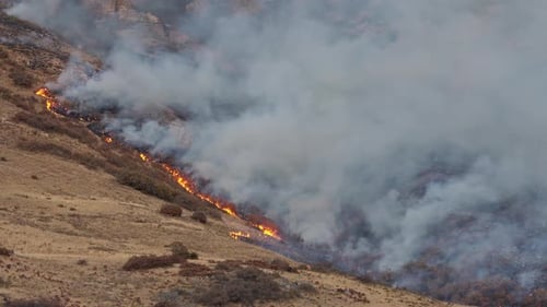 De la fumée s'élevant le long de la ligne de feu brûlant dans les broussailles