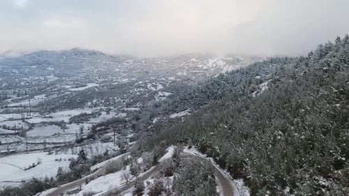 Winter Forest Mountains Covered Snow
