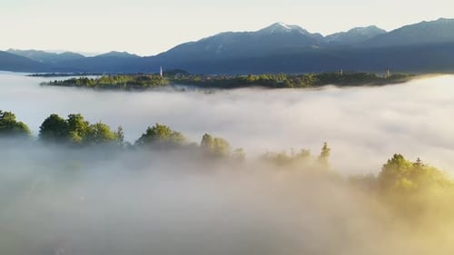 Foggy morning in the forest and landscape