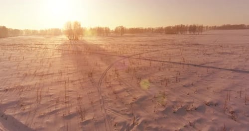Vue aérienne Drone d'un paysage hivernal froid avec champ arctique, arbres couverts de neige gelée