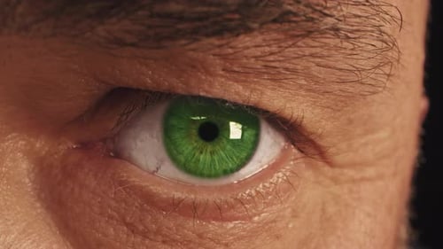 Close Up of a Green Eye