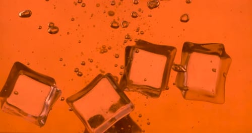 Ice Cubes Sinking in Amber Liquid