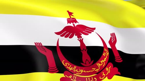 Waving Flag of Brunei Darussalam Loop