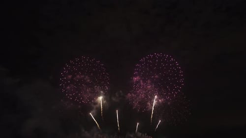 Brilliant Fireworks Exploding in the Night Sky