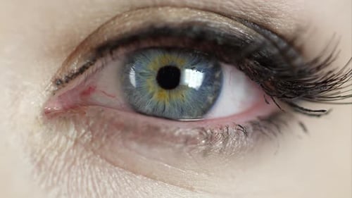 Macro view of woman's blue eye
