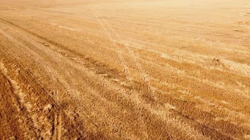 Aerial drone view of a flying over the rural agricultural landscape.