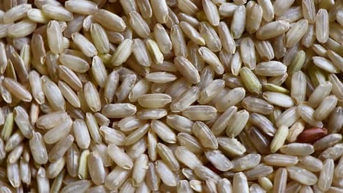 Close Up of Natural Uncooked Rice Grains