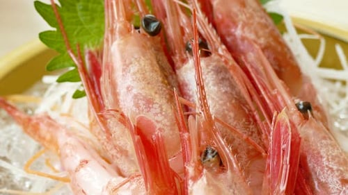 Fresh Shrimp Displayed on Ice Close Up