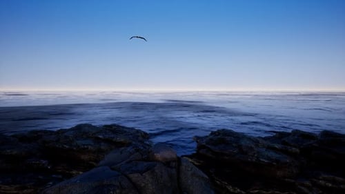 Cliffs And Eagle In The Ocean