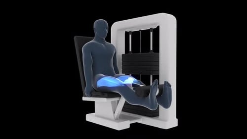 3D Animated Leg Extension Exercise with Muscle Highlight