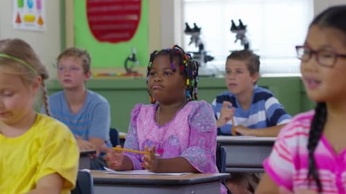 Students raise hands in school classroom