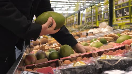 Woman In Supermarket Shopping For Organic Exotic Fruits Choosing Mango.