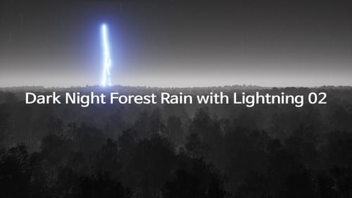 Dark Night Forest Rain with Lightning 02