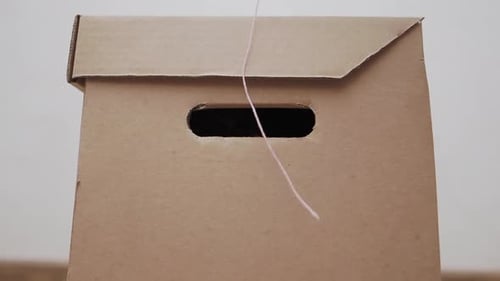 Cat Paw Playing With String From Box