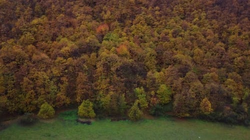 Autumn Mountain Forest Aerial View