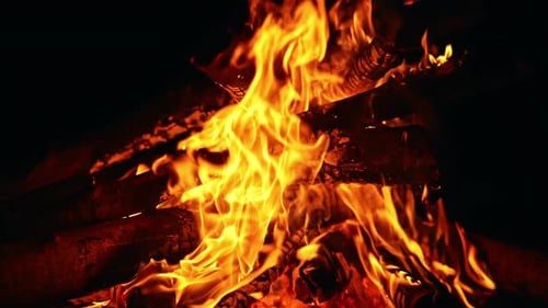 Burning Campfire with Flickering Flames at Night