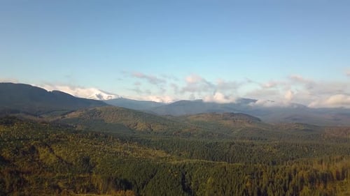 Aerial view of majestic mountains covered with green spruce forest and high snowy peaks.