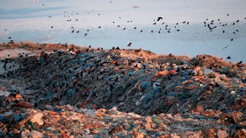 City Dump