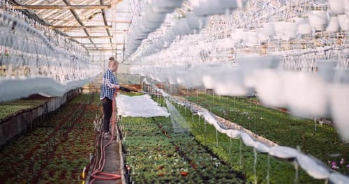Adult Woman Watering Plants in Greenhouse