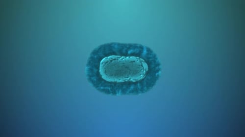 Cell Division Process Scientific Animation