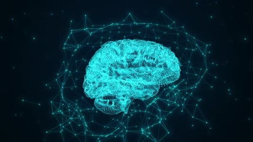Human brain and plexus structure revolving with skull scan and digits orbiting around.