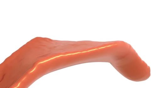 Abstract Caramel Liquid Animation on White Background