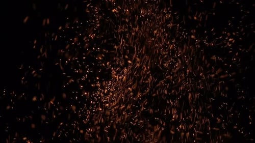 Golden Particles Glittering in the Darkness