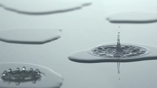 Water Drop Ripples on Puddle Surface