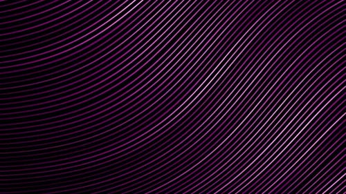 Dynamic Abstract Purple Wavy Lines Background Loop