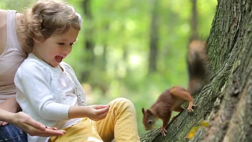 A Cute Little Girl and Her Mom Feed the Red Squirrels in the Park
