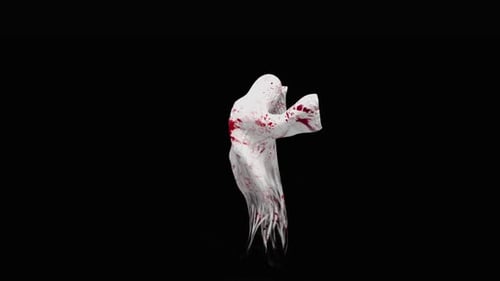 Spooky Bloody Ghost Character Animation for Halloween