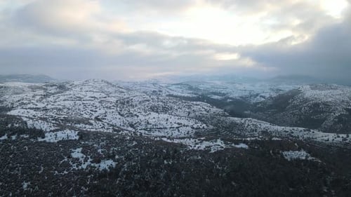 Winter Forest Mountains Covered Snow Aerial Drone
