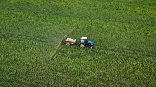 Luftaufnahme des Traktors behandelt landwirtschaftliche Pflanzen auf dem Feld