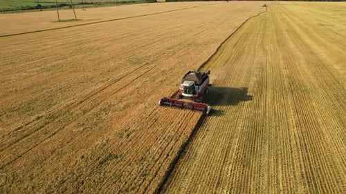 Grain harvesting equipment in operation