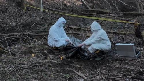 Forensic specialists working in the forest. Crime scene and police concept.