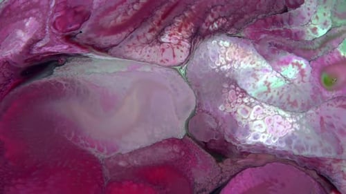 Abstract Colorful Invert Sacral Paint Exploding Texture 819