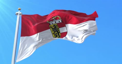 Salzburger Landesflagge, Österreich
