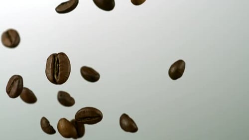 Roasted Coffee Beans Falling Against Grey Background