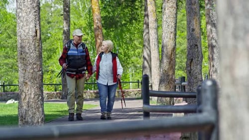 Elderly Partners Enjoying Walk in Park