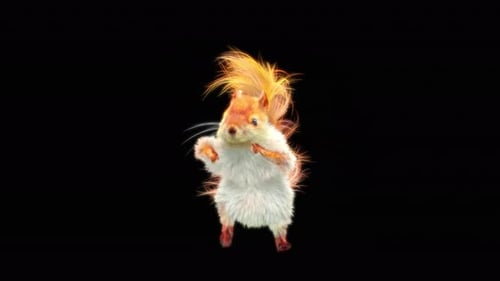 Squirrel Dancing 4K